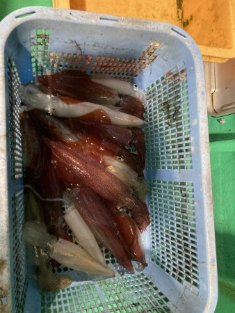 釣果写真