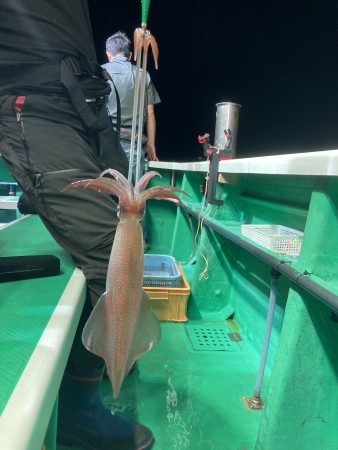 釣果写真