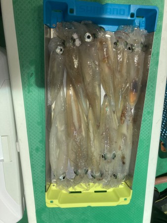 釣果写真